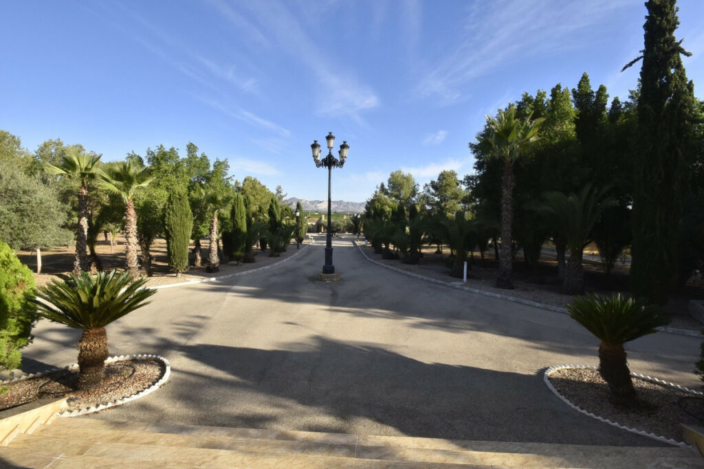 Finca - Cortijo La Matanza Alicante - image 19