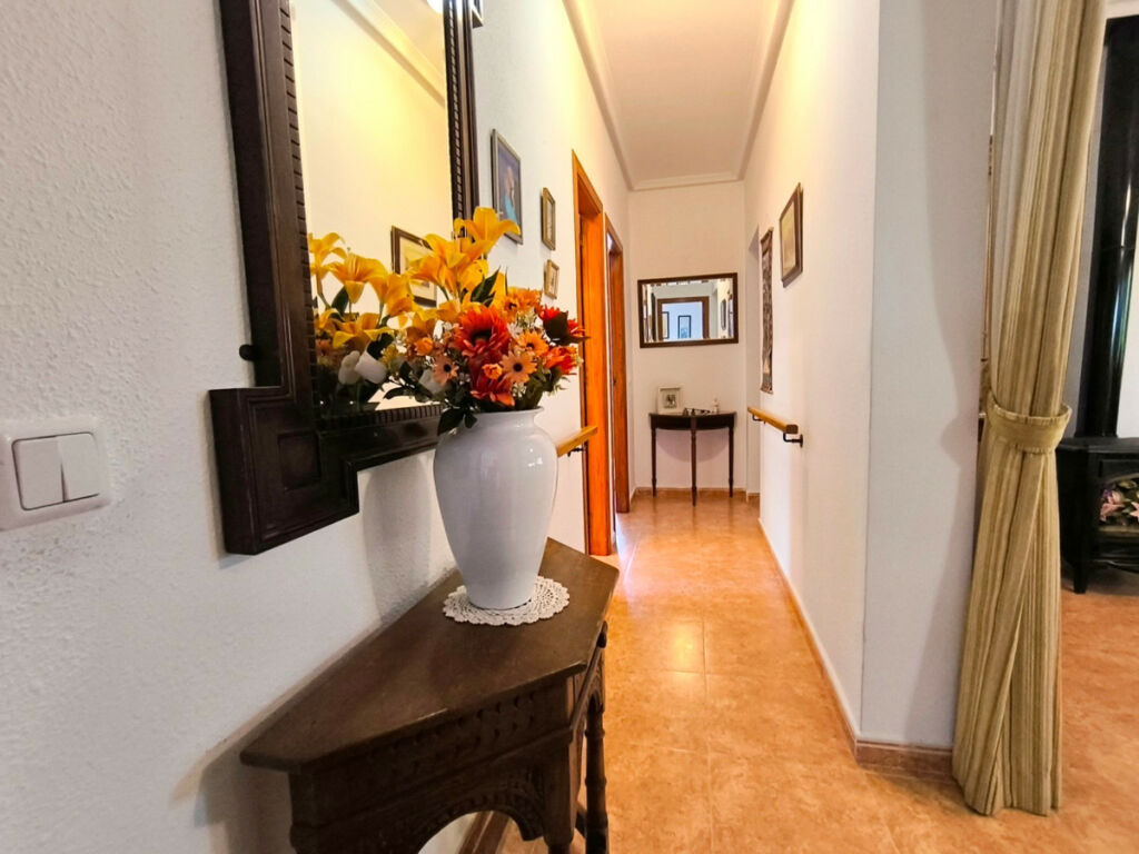 Finca - Cortijo Orihuela Alicante - image 19