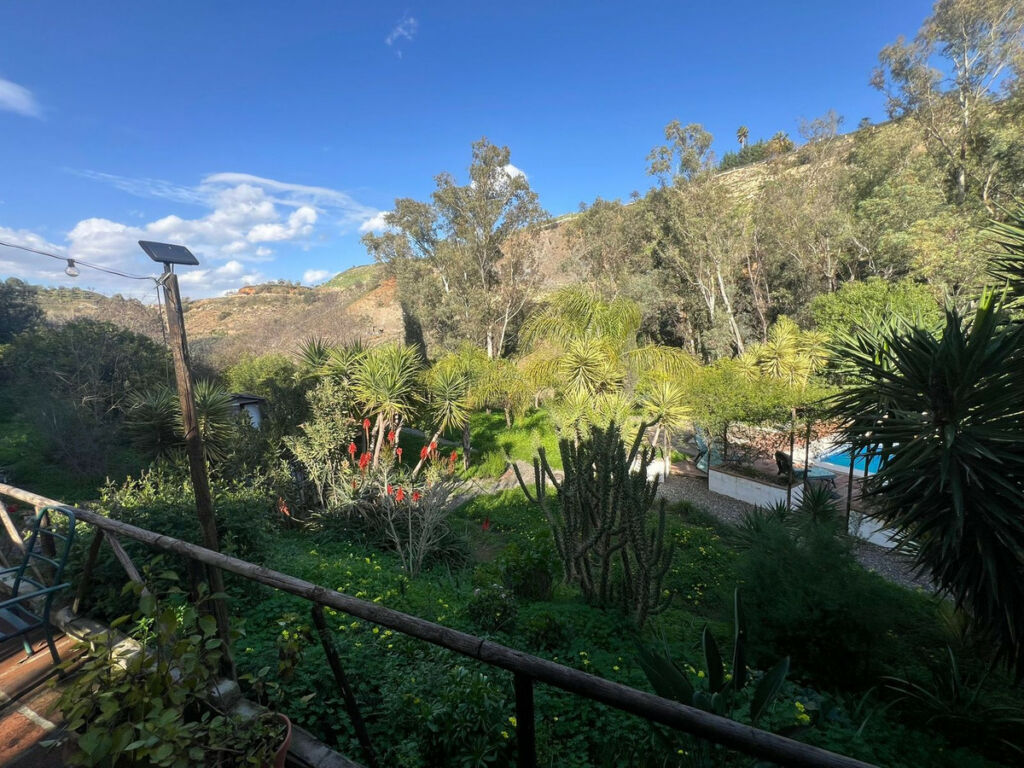 Finca - Cortijo Coín Málaga - image 19