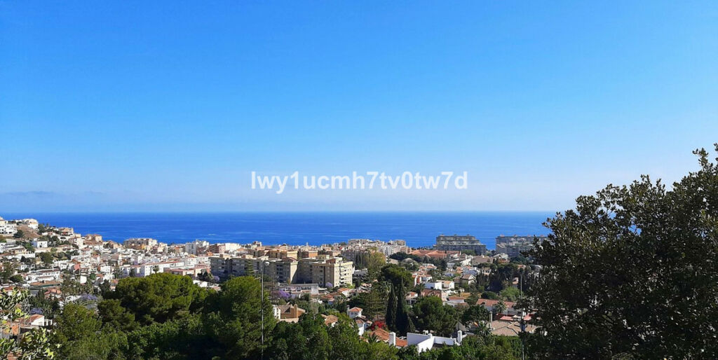 Detached Villa Málaga Málaga - image 2