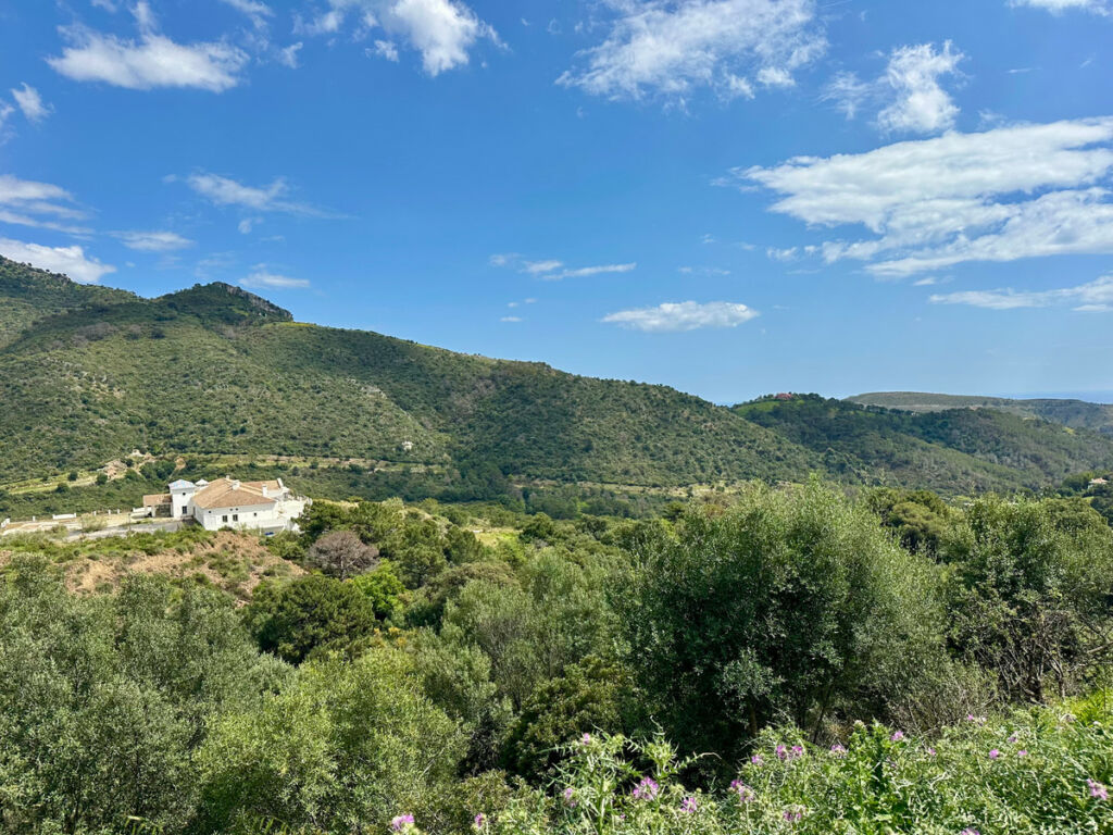 Residential Plot Benahavís Málaga - image 2