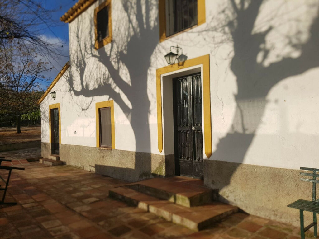 Finca - Cortijo Ronda Málaga - image 2