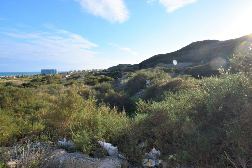 Land Guardamar del Segura Alicante - image 2