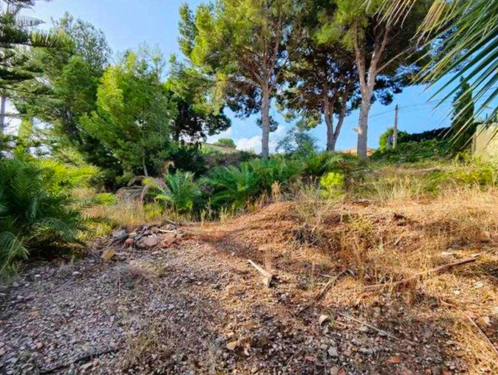 Land L'Alfás del Pi Alicante - image 2