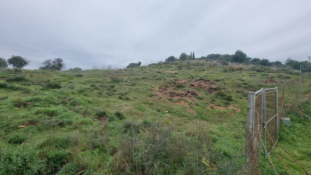 Land Coín Málaga - image 2