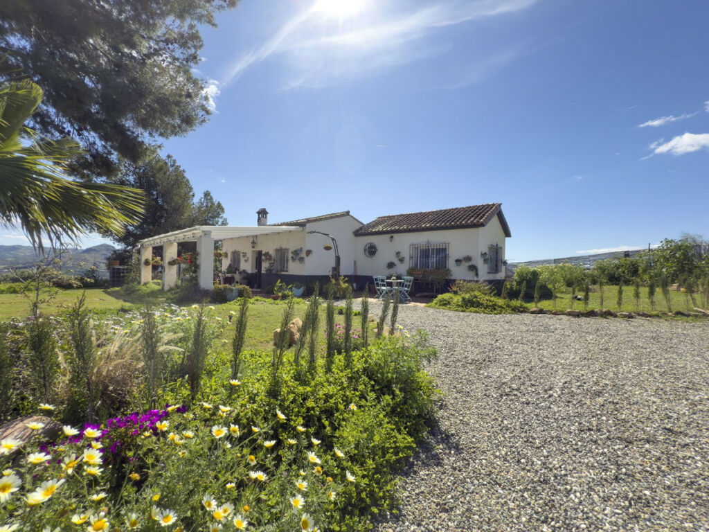 Finca - Cortijo Pizarra Málaga - image 2