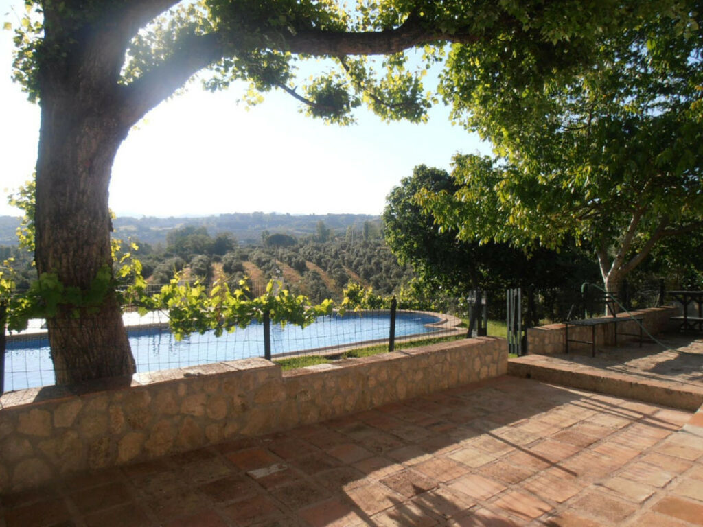 Finca - Cortijo Ronda Málaga - image 21