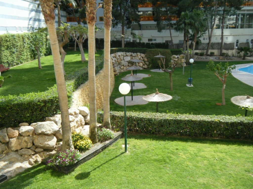 Middle Floor Apartment Benidorm Alicante - image 21