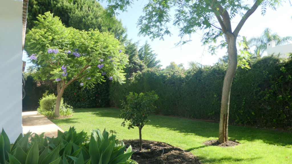 Detached Villa Estepona Málaga - image 23