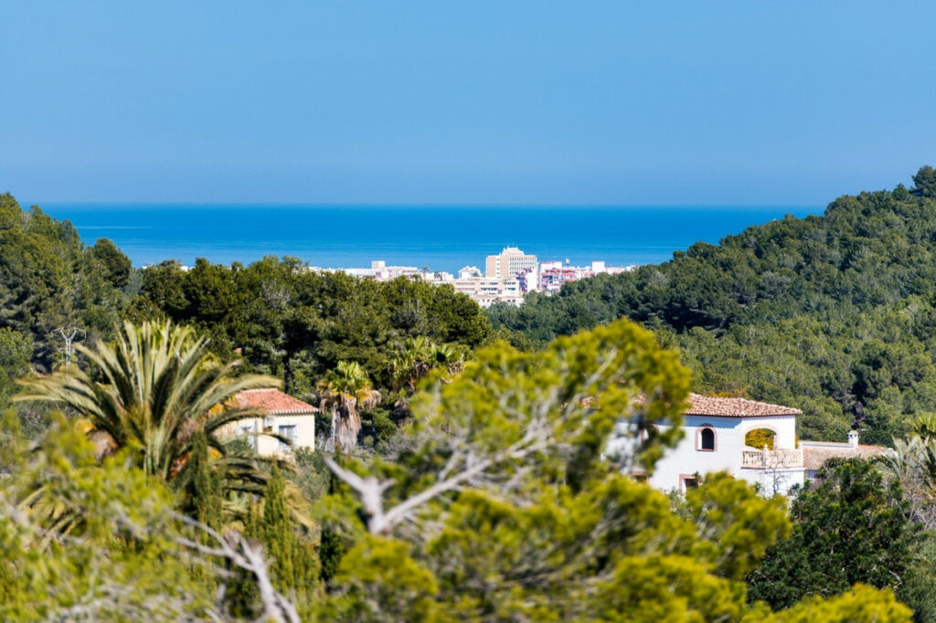 Detached Villa Javea Alicante - image 23