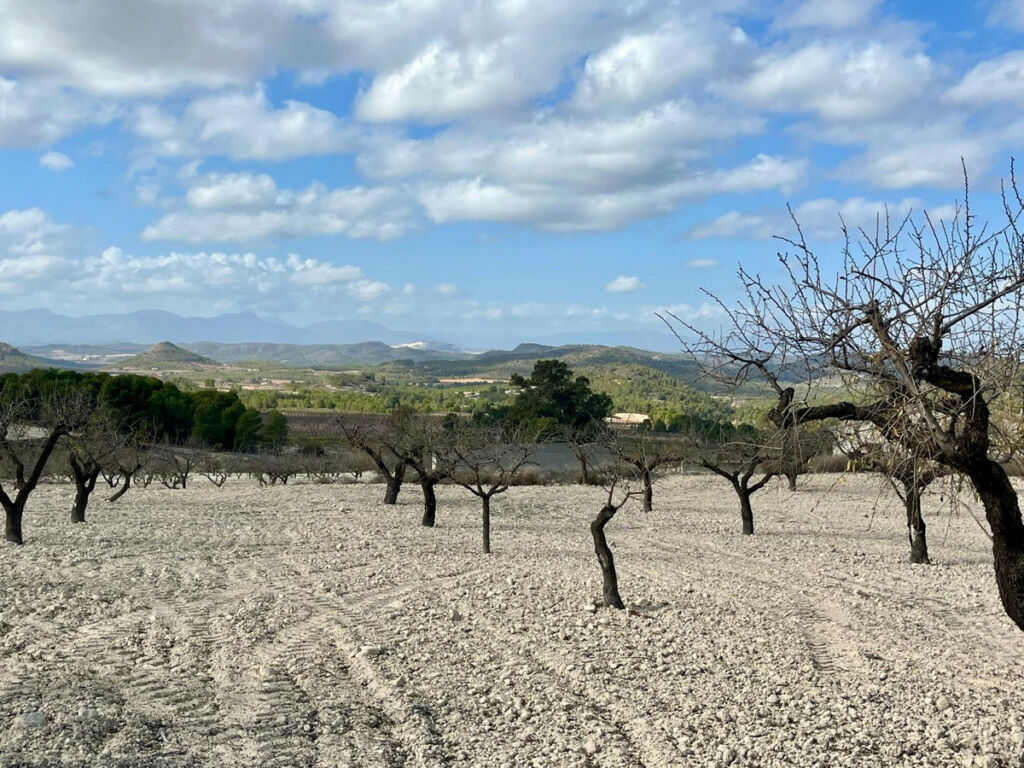 Land Bullas Murcia - image 17