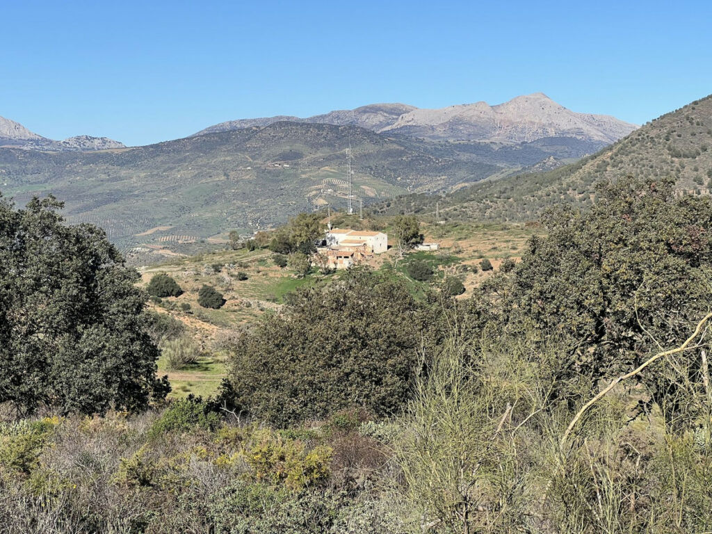 Finca - Cortijo Casabermeja Málaga - image 23