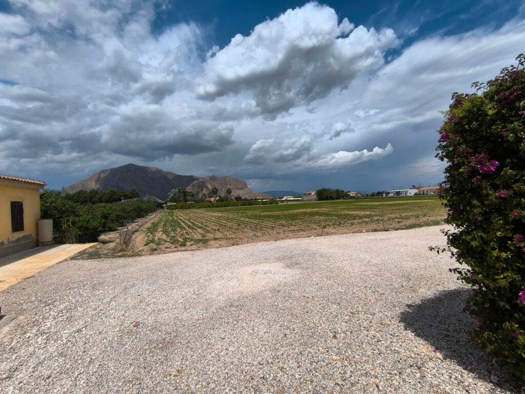 Finca - Cortijo Orihuela Alicante - image 24