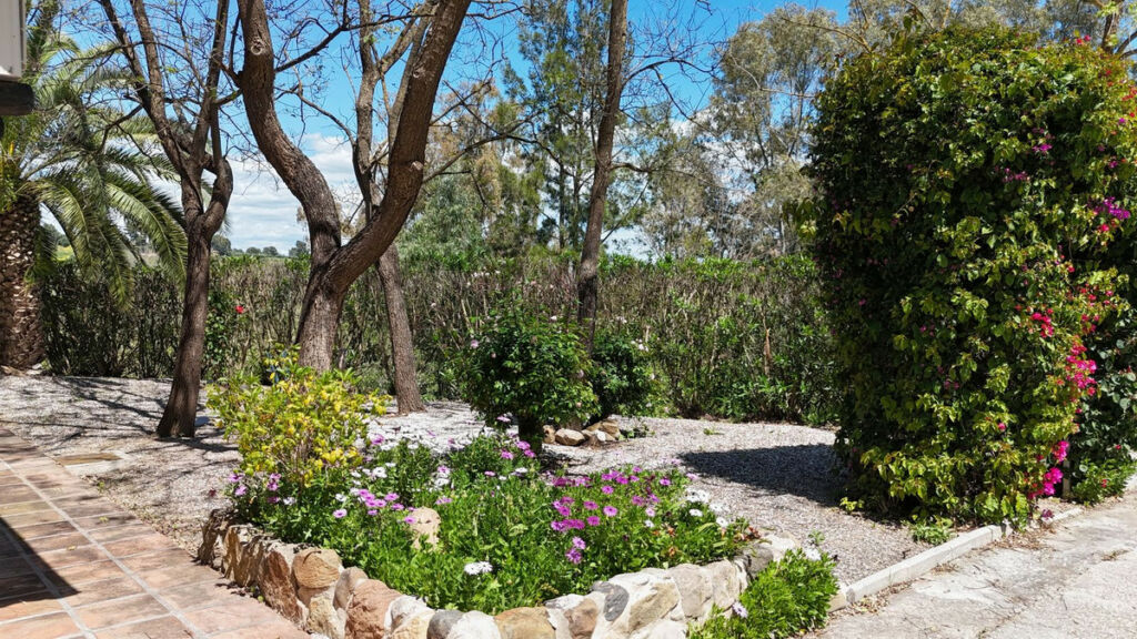 Detached Villa Coín Málaga - image 25