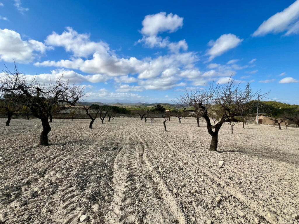 Land Bullas Murcia - image 18