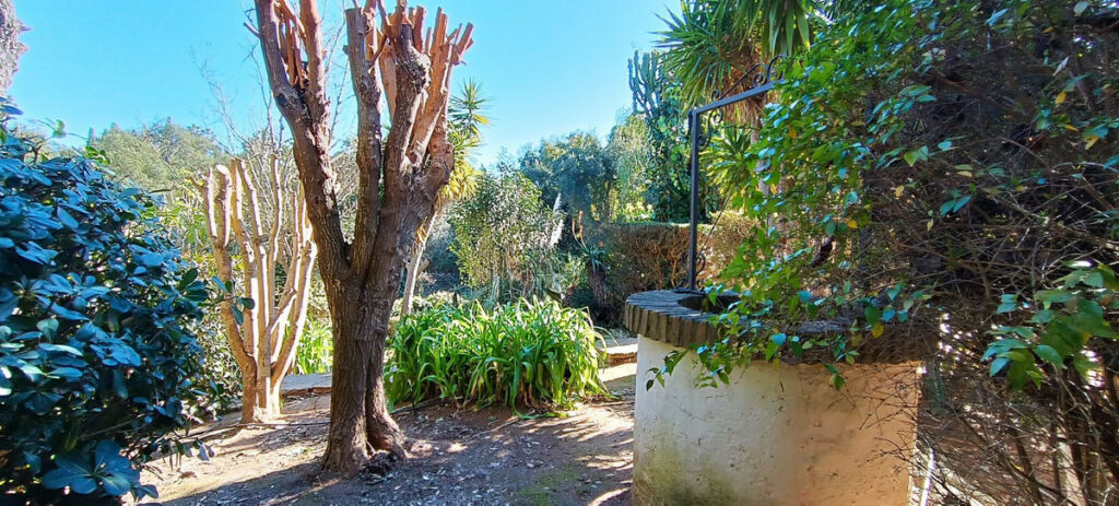 Detached Villa Sotogrande Alto Cádiz - image 23