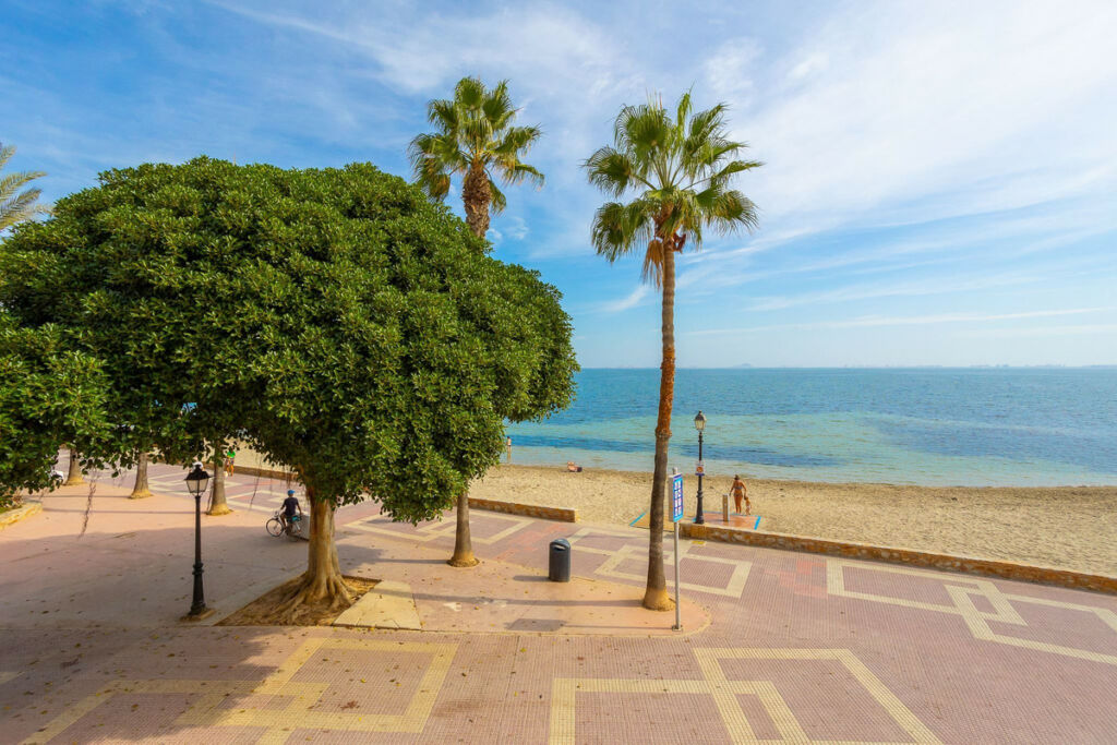 Detached Villa Los Alcazares Murcia - image 26