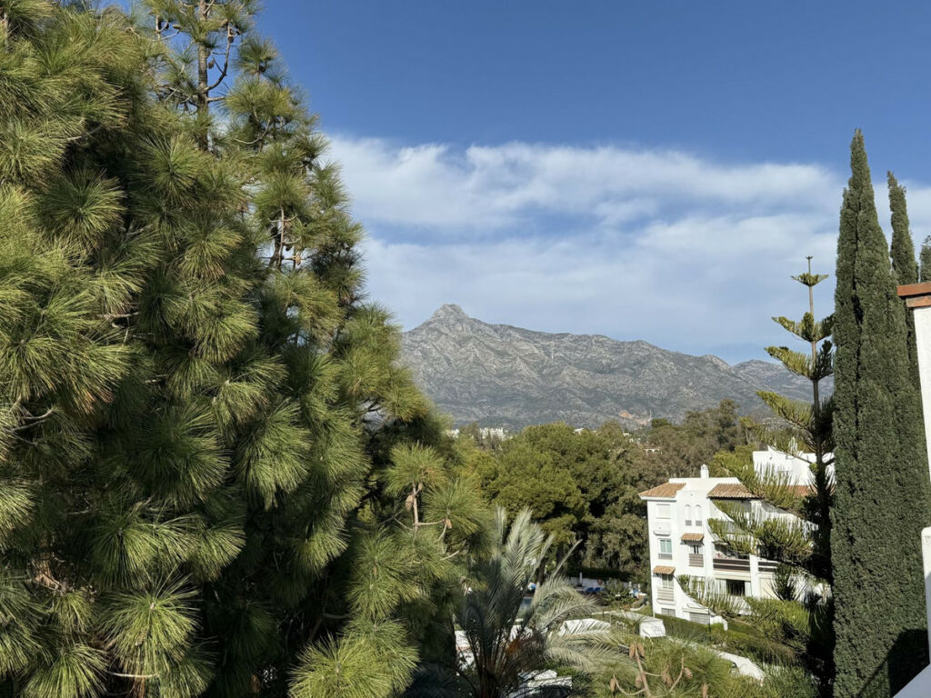 Penthouse Duplex Puerto Banús Málaga - image 26