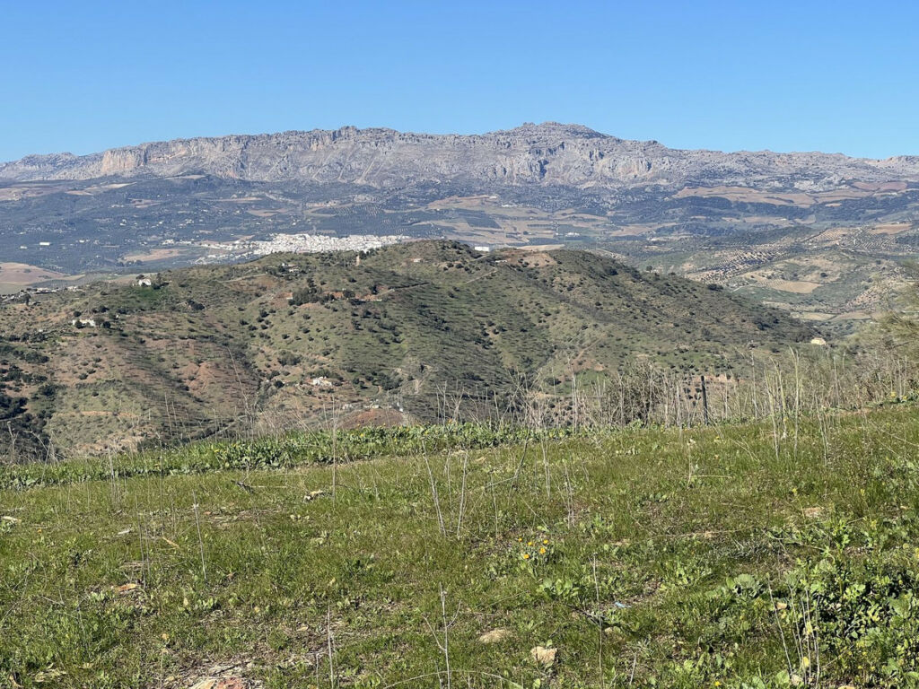 Finca - Cortijo Casabermeja Málaga - image 25