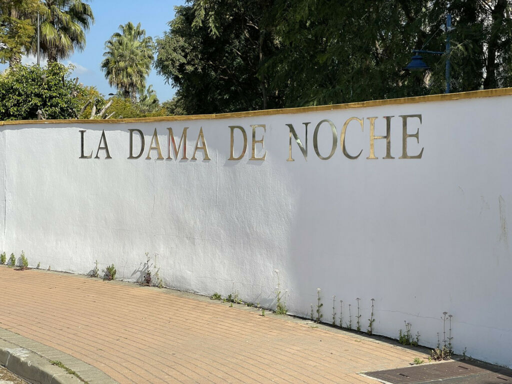 Penthouse Nueva Andalucía Málaga - image 26