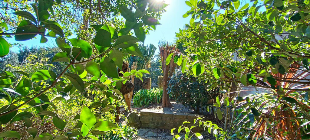 Detached Villa Sotogrande Alto Cádiz - image 24