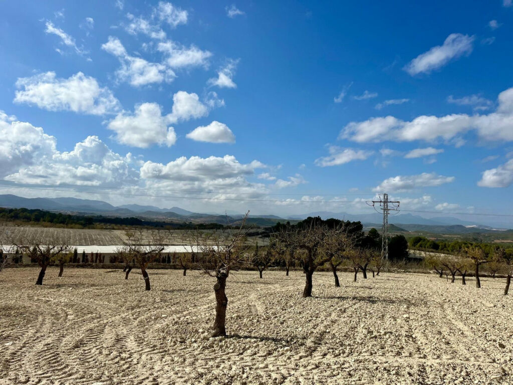 Land Bullas Murcia - image 19