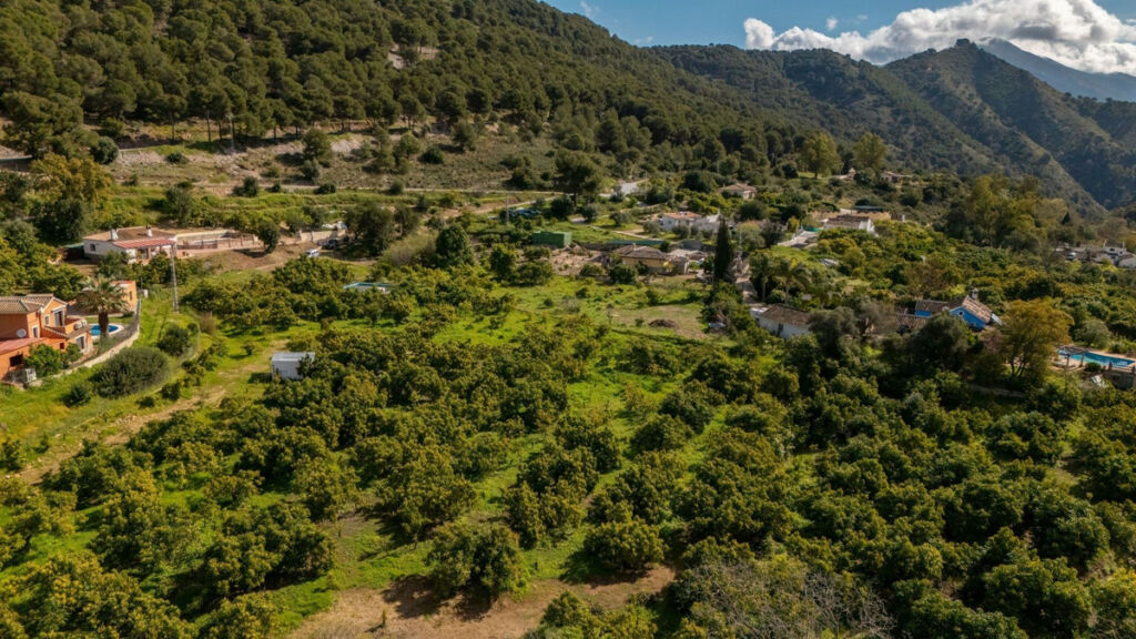 Detached Villa Coín Málaga - image 28