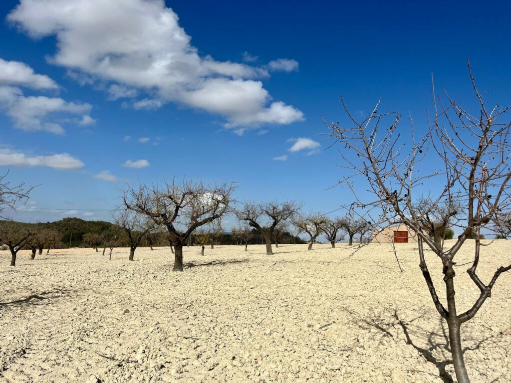 Land Bullas Murcia - image 2
