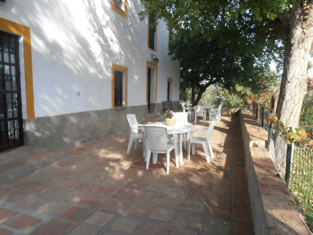 Finca - Cortijo Ronda Málaga - image 29
