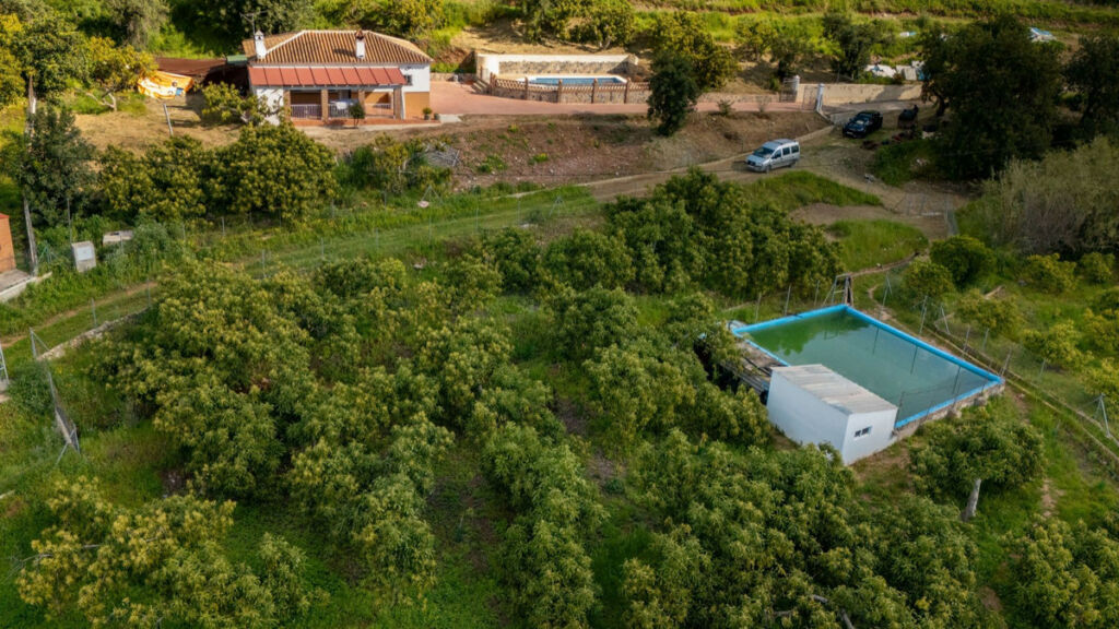Detached Villa Coín Málaga - image 29