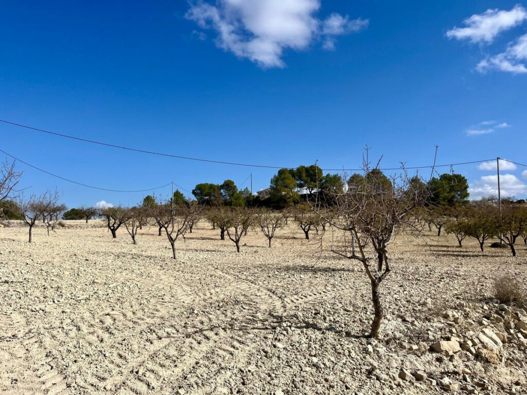 Land Bullas Murcia - image 3