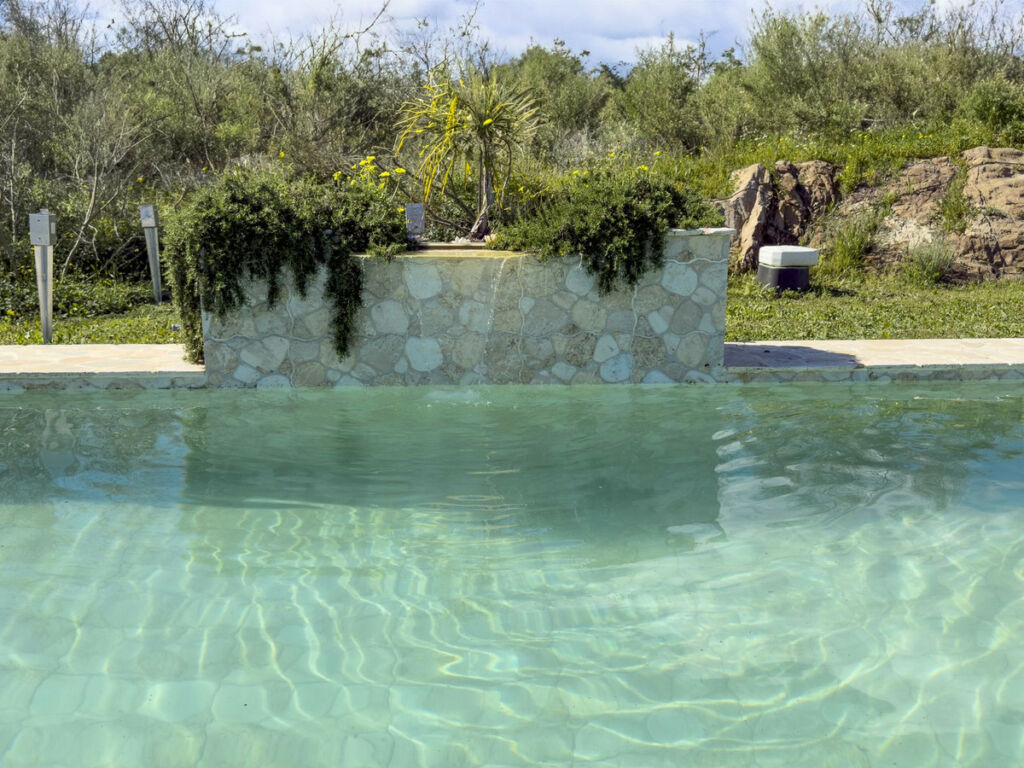 Finca - Cortijo Pizarra Málaga - image 29