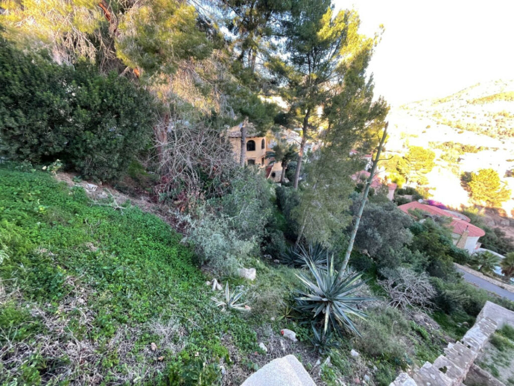 Land Calpe Alicante - image 4
