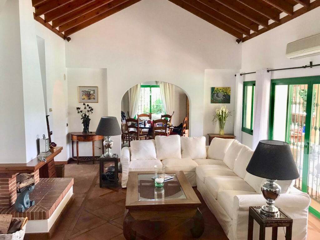 Detached Villa Guadalmina Baja Málaga - image 3