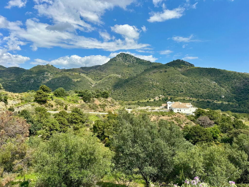 Residential Plot Benahavís Málaga - image 3