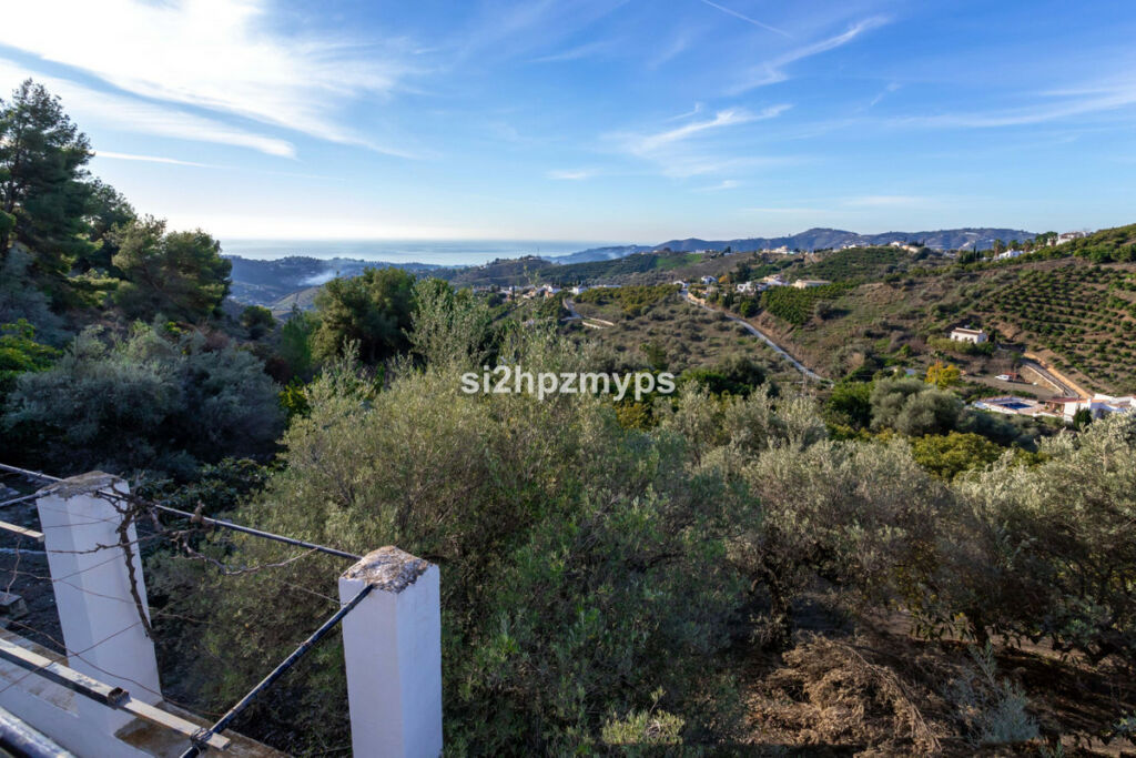 Detached Villa Frigiliana Málaga - image 3