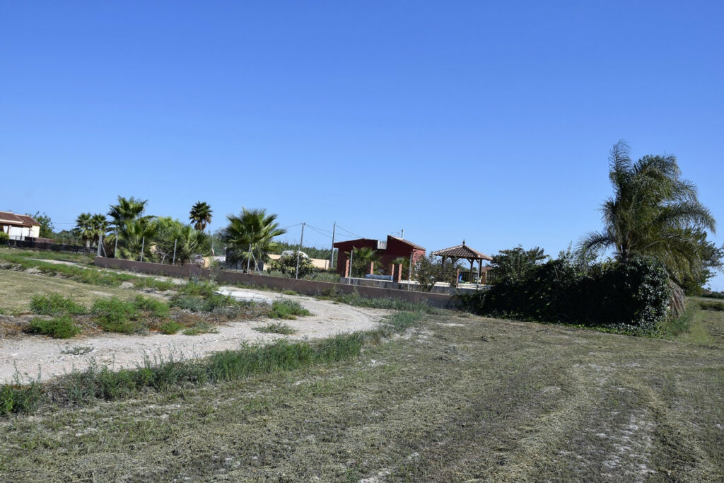 Land Catral Alicante - image 3