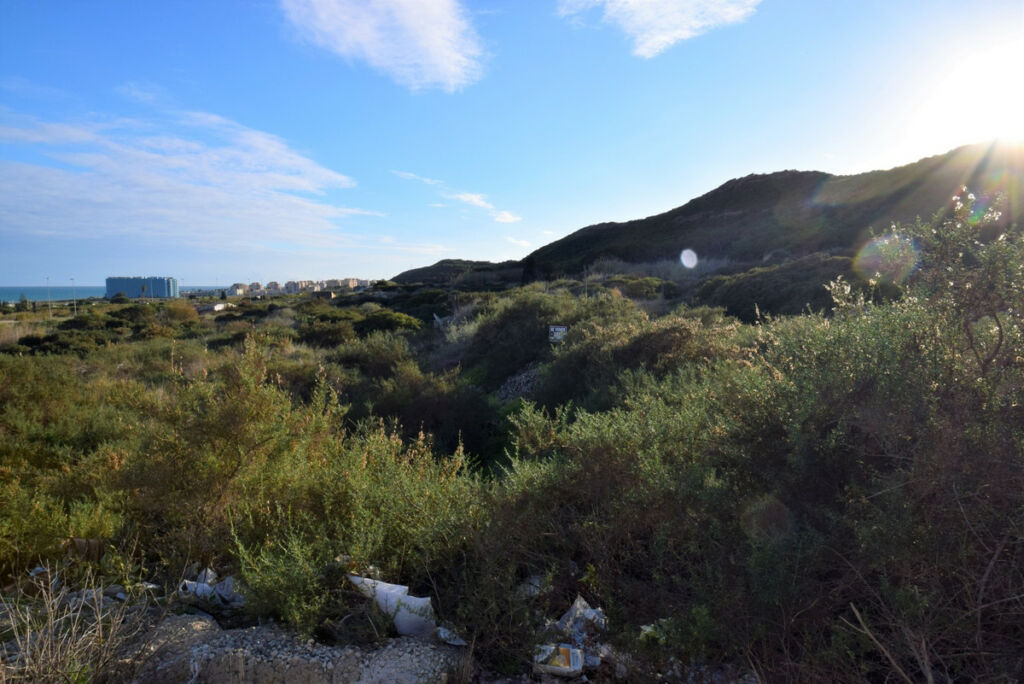 Land Guardamar del Segura Alicante - image 3
