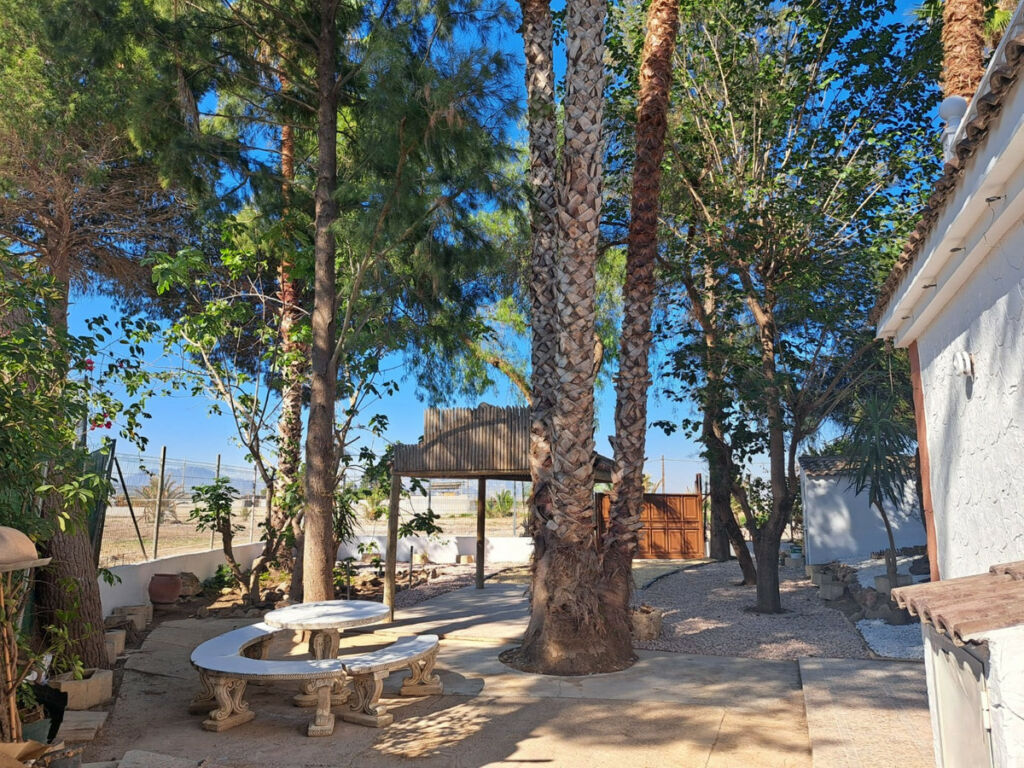 Finca - Cortijo Orihuela Alicante - image 5