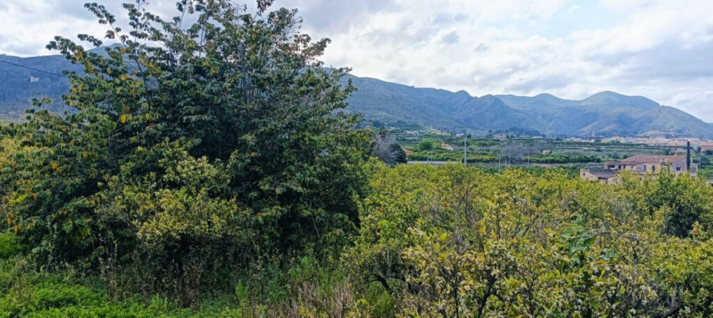 Residential Plot Pego Alicante - image 3
