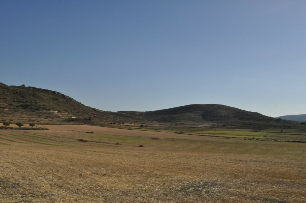 Land Torre Del Rico Murcia - image 3