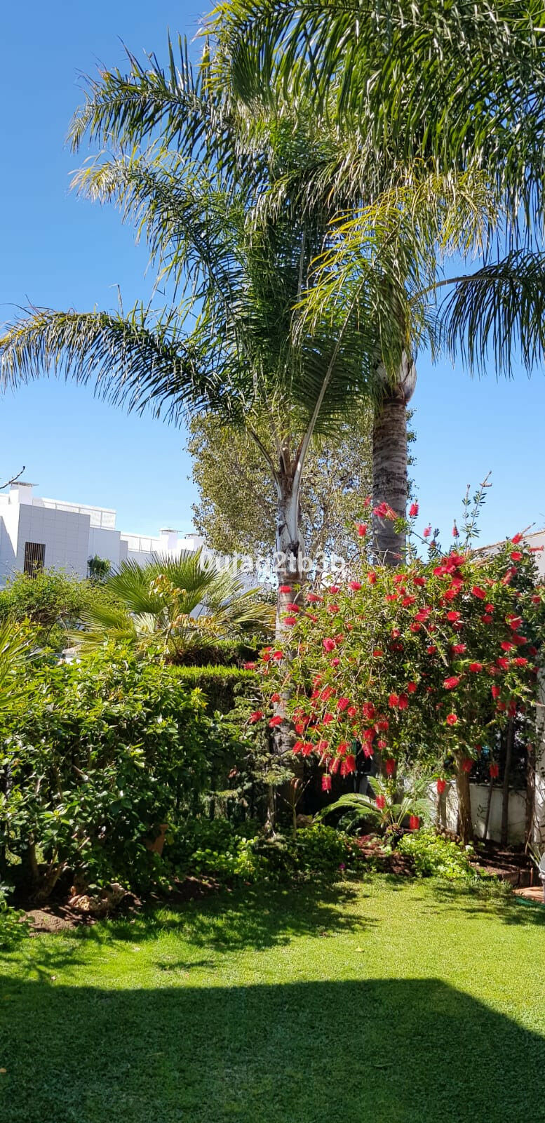 Detached Villa New Golden Mile Málaga - image 30