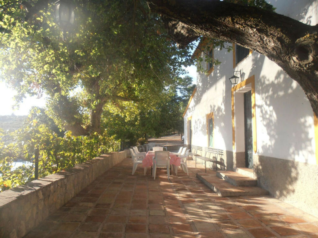 Finca - Cortijo Ronda Málaga - image 30