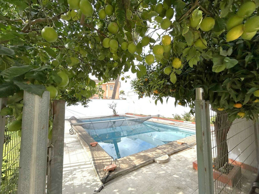Detached Villa Mijas Málaga - image 30