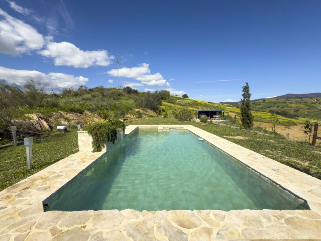 Finca - Cortijo Pizarra Málaga - image 31