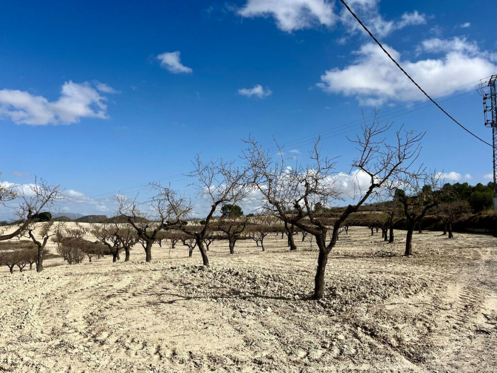 Land Bullas Murcia - image 22
