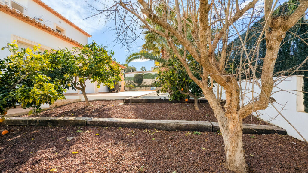 Detached Villa Javea Alicante - image 32