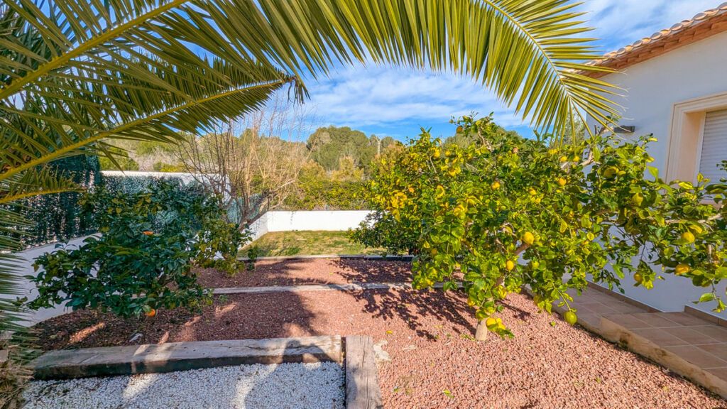 Detached Villa Javea Alicante - image 33