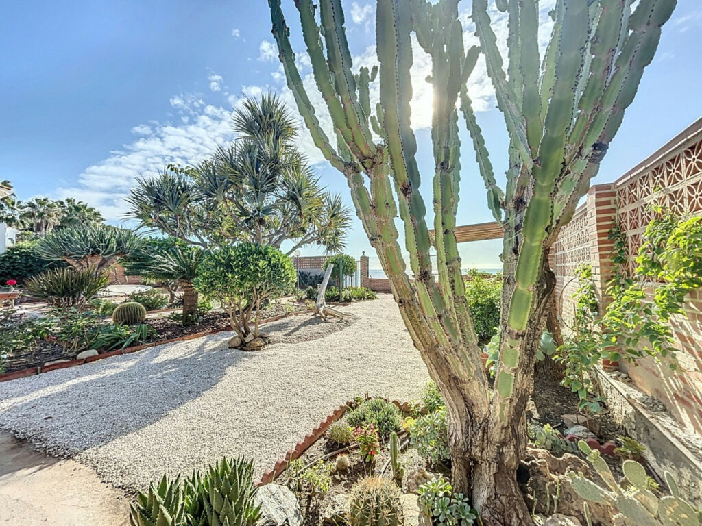 Detached Villa Almayate Málaga - image 34