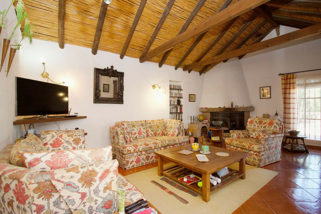 Detached Villa Coín Málaga - image 33